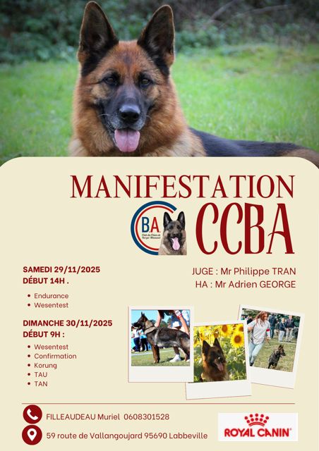 Manifestation canine /confirmation